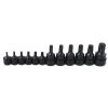 Juego de 12 dados punta Torx® Urrea