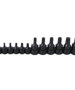 Juego de 12 dados punta Torx® Urrea
