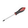Destornillador bimaterialerial Torx® T25 Urrea