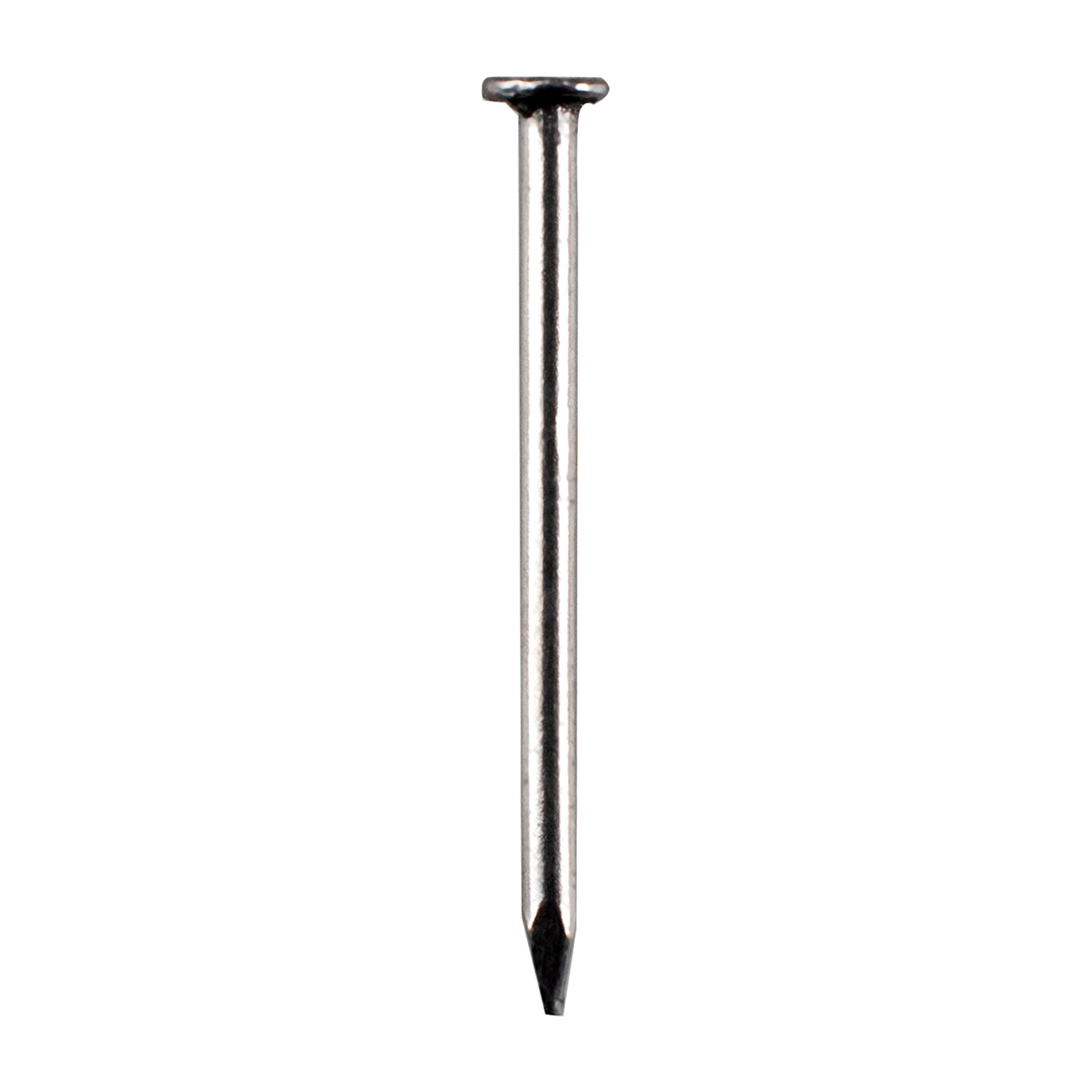 Clavo tipo alfiler con cabeza 3/4 in, 1 kg Surtek