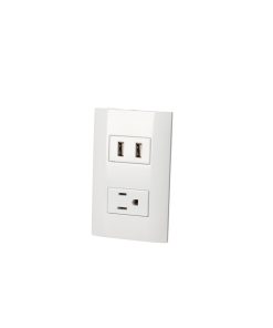 Placa con 1 contacto aterrizado y 1 contacto USB con doble puerto blanca  Surtek