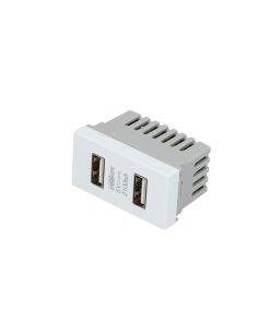 Módulo USB doble blanco 1/3 Surtek.
