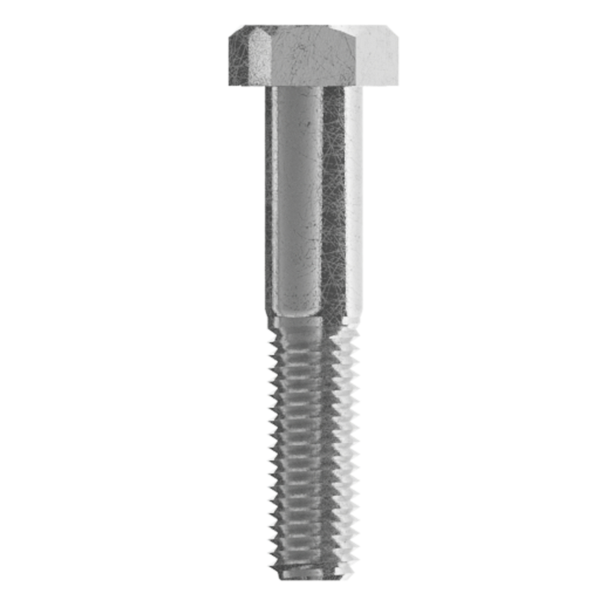 Tornillo tipo máquina rosca pa rcial 1/4 in x 2-1/2 in, 50 piezas